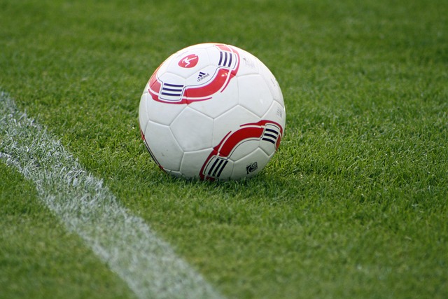 几乎所有位 几乎所有位