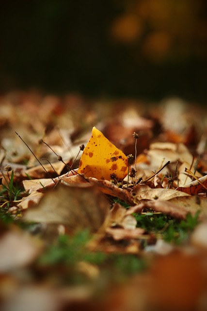 虽然没有某 虽然没有某