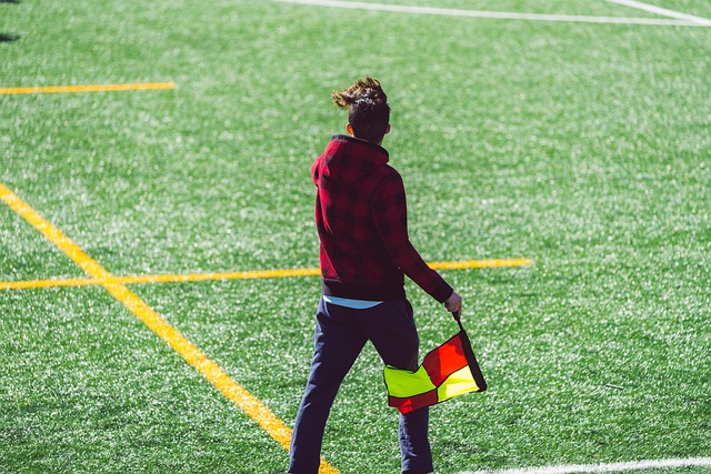 球职业联赛 球职业联赛