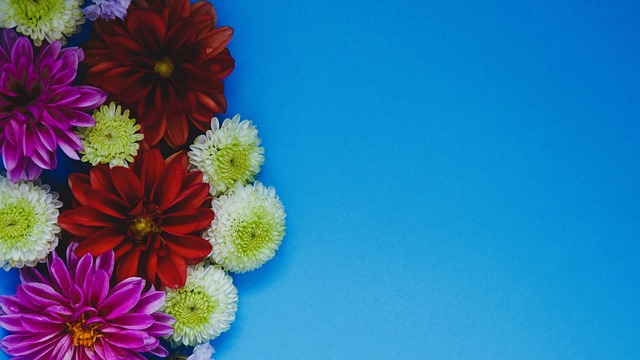 如字母哥 如字母哥