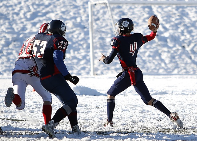 他们在费内 他们在费内