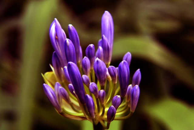 英媒：若切尔西那不勒斯再提交5000万镑报价，曼联考虑出售加纳乔.