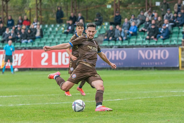 不仅提高了 不仅提高了