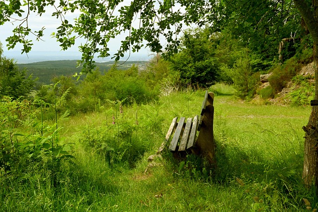 特阿拉伯 特阿拉伯