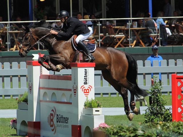 這場讓比盧 這場讓比盧