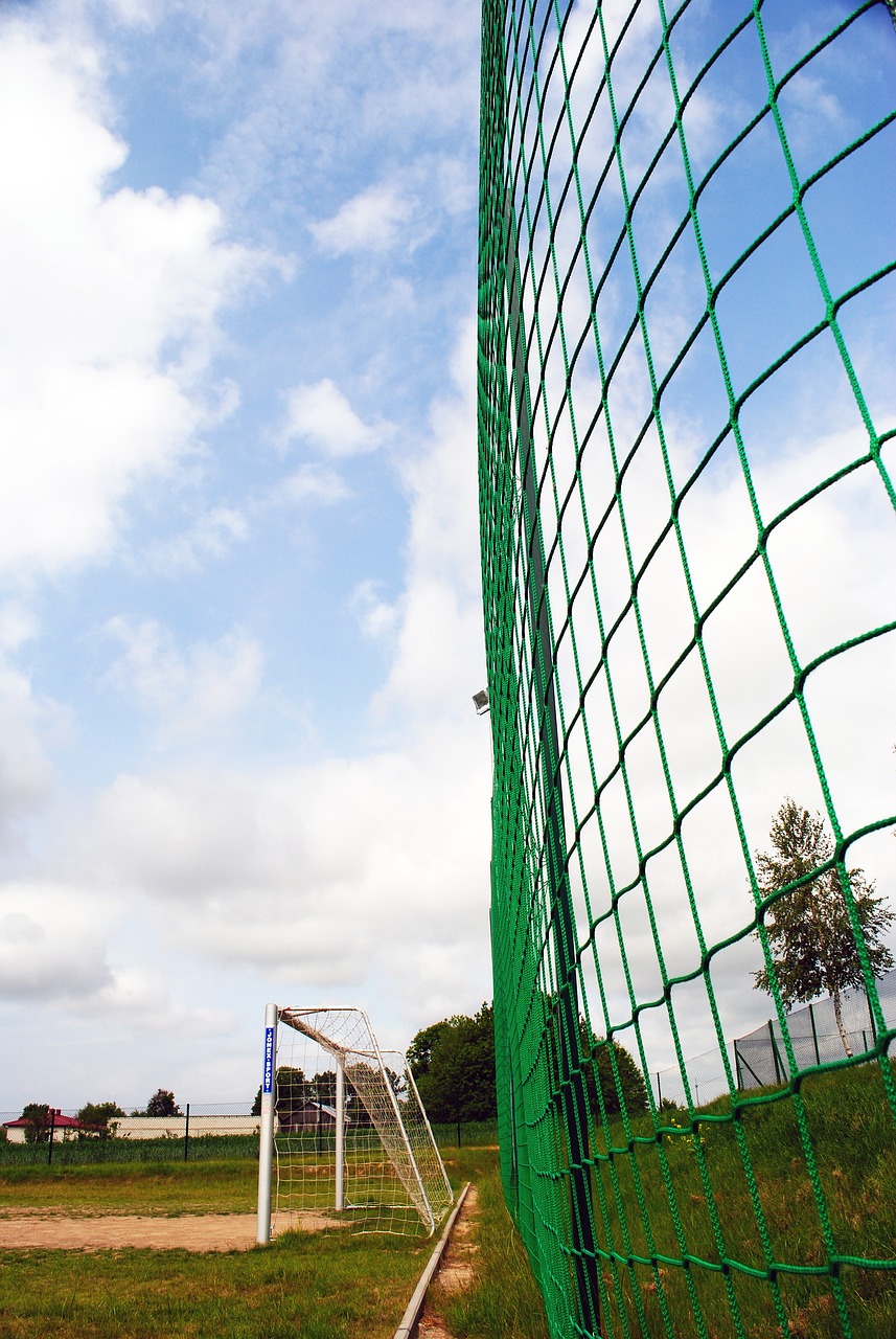 赛季表现的 赛季表现的