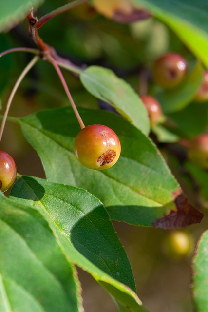 惨败告终 惨败告终