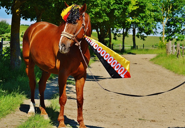 他的缺席无 他的缺席无