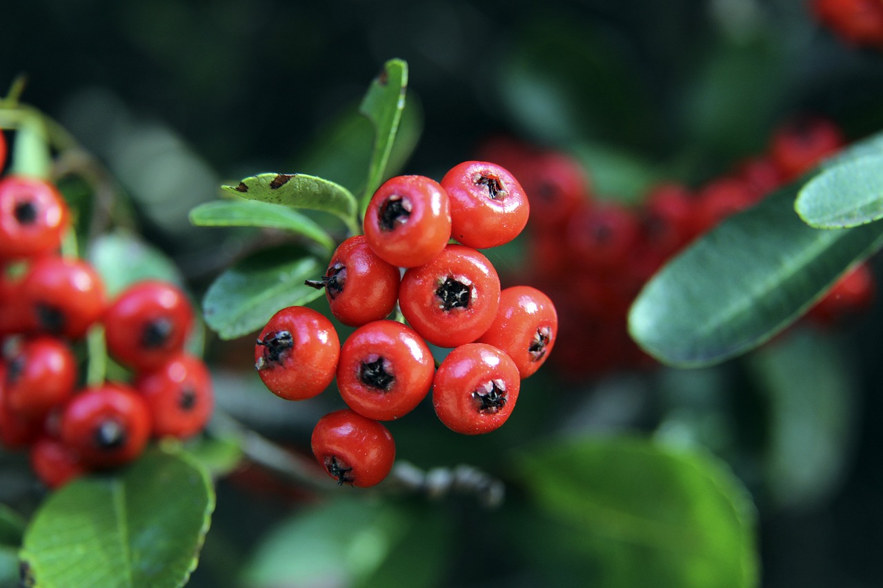 来说都是至 来说都是至